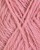 VAMS_002060_Rosa_2.t65574a94.m800.x-rEYmS6X.jpg