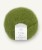 11939564_Matcha_300dpi_Noste.jpg