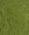 11939564_Matcha_300dpi_Close-up.jpg