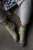 Laine_52WOSY_YkieOnodera.jpg
